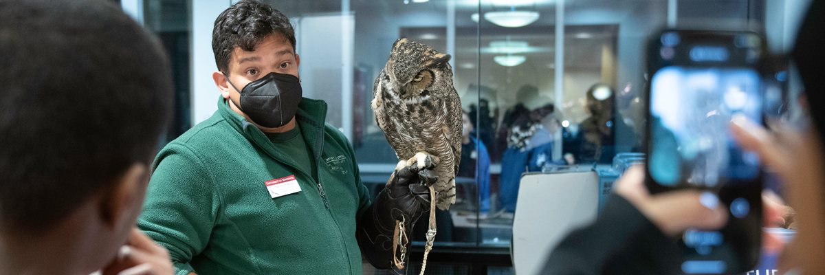 Owl, Minnesota Raptor Center